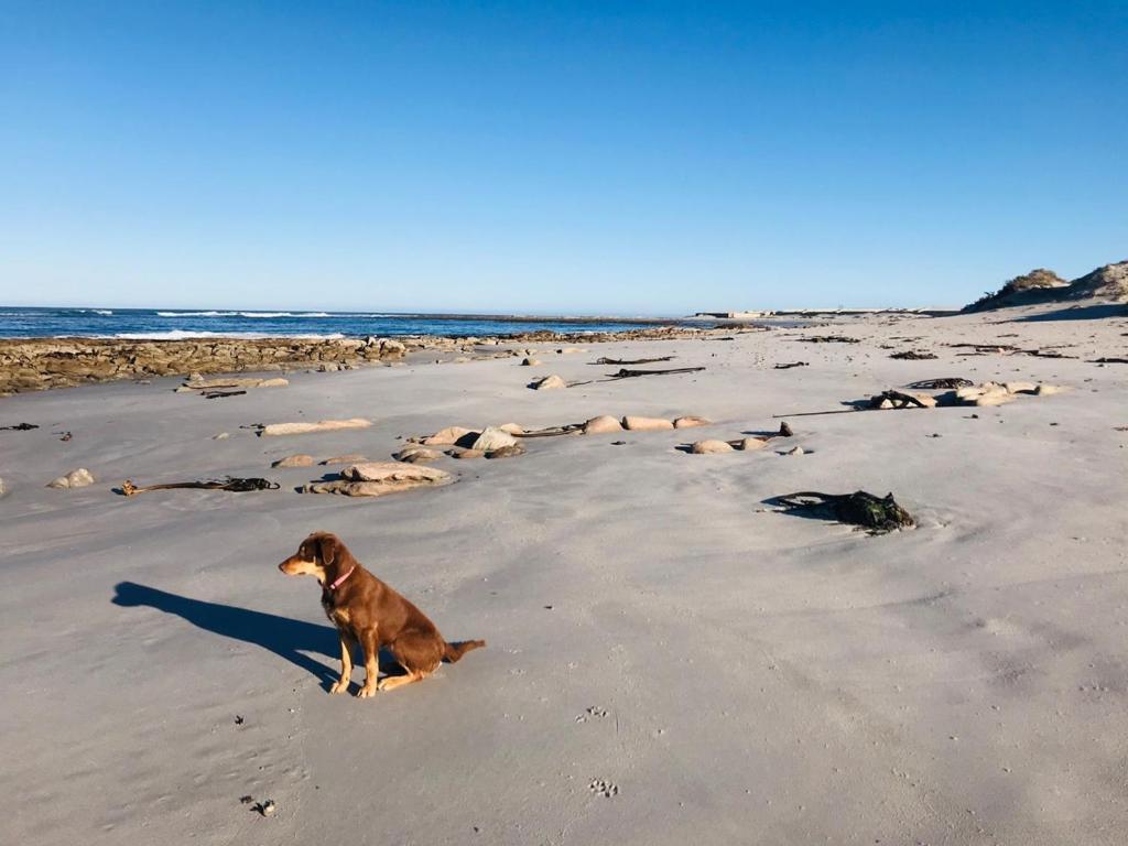 Port Nolloth Beach Shack المظهر الخارجي الصورة